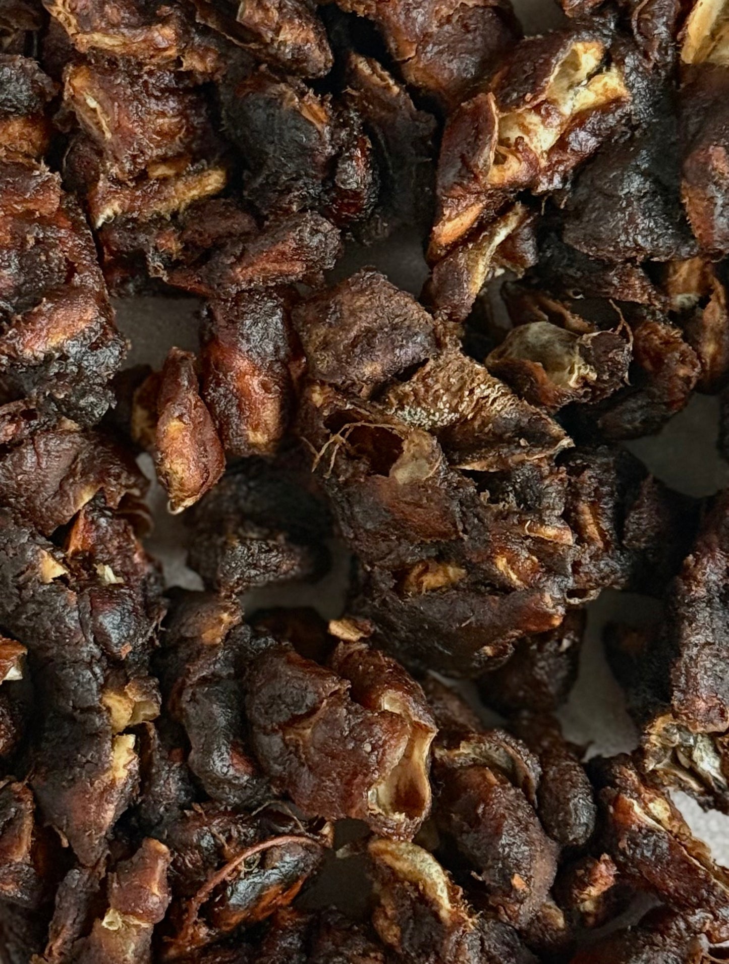 Wild Foraged Tamarind