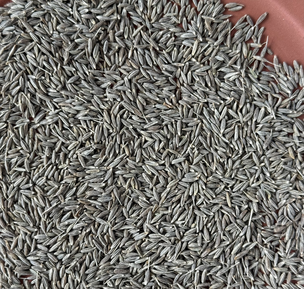 Cumin