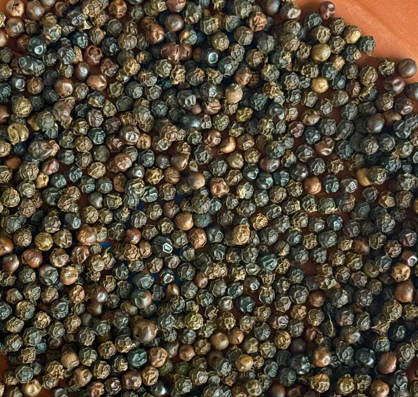 Black Pepper